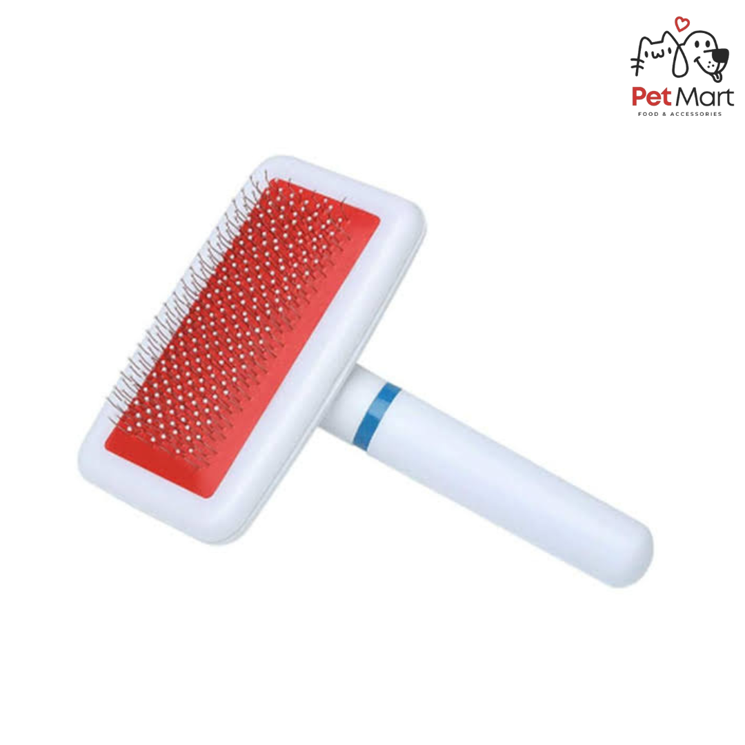 PORTABLE BRUSH